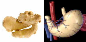 Природа дает подсказку